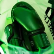 Kép 6/6 - Fairtex bőr boxkesztyű BGV22 - Metál zöld