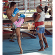 Kép 2/2 - Primo Miami Lights Muay Thai Short